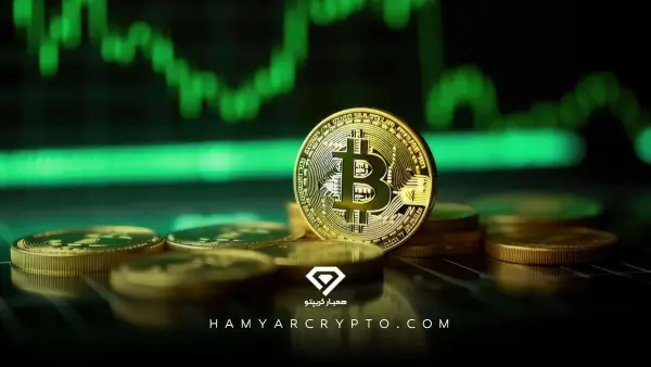 1698139037 428 سود آور ترین و بهترین کانال سیگنال ارز دیجیتال در.webp