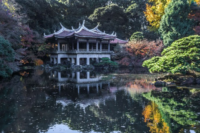 توکیو، شهر شکوفه‌های گیلاس را با فلای‌تودی ببینید