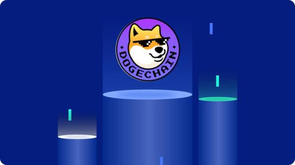 چرا بهتر است دوج چین را از بیت ۲۴ بخرید؟_سمسون 6 قیمت دوج چین