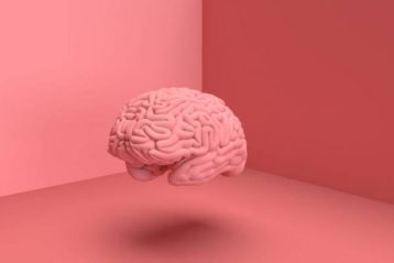 طی دهه‌های گذشته حجم مغز انسان رو به افزایش بوده است