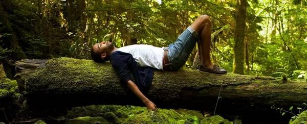 نحوه تجربه زمان با حضور در طبیعت تغییر می‌کند