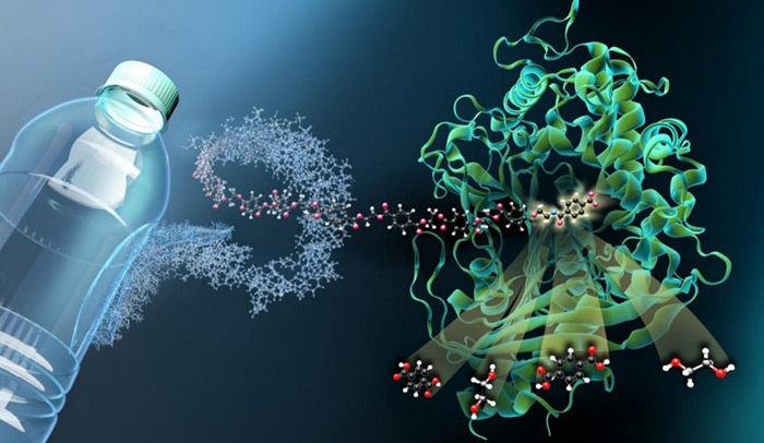 باکتری‌های پلاستیک خوار می‌توانند راه حلی برای پاکسازی اقیانوس‌ها باشند