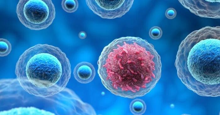 توسعه یک مدل هوش مصنوعی جدید برای تشخیص زود هنگام 13 نوع سرطان با دقت ۹۸ درصدی