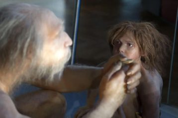 کشف اولین شواهد از سندرم داون در نئاندرتال‌ها