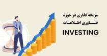 سرمایه گذاری در حوزه فناوری اطلاعات
