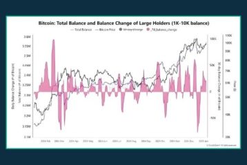 نمودار وضعیت هولدر های بیت کوین