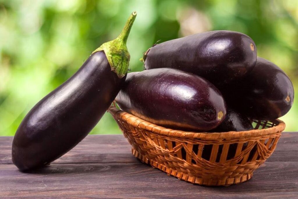 ۱۲ مواد غذایی که نیازی به یخچال ندارند سمسون