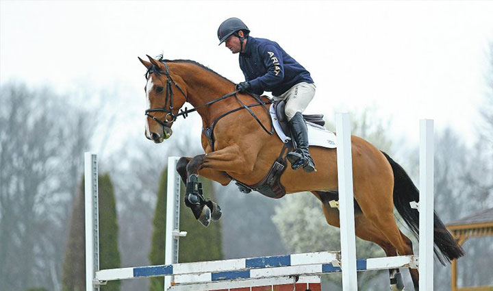 گران ترین ورزش های جهان؛ ۱۱ ورزش لاکچری و پرهزینه اما جذاب_سمسون 24 اسب سواری - گران ترین ورزش های جهان