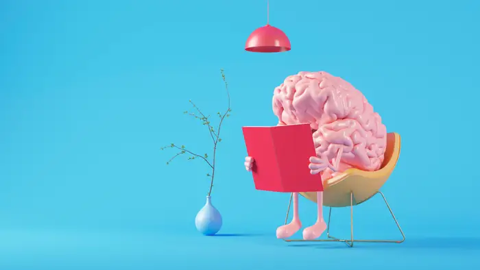 1747946372 370 انواع تیپ مغزی و تأثیر آن بر شخصیت ‌ تیپ.webp