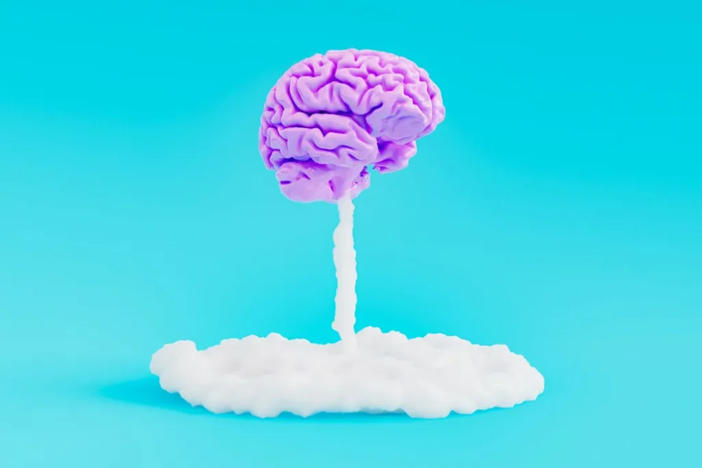 1747946372 806 انواع تیپ مغزی و تأثیر آن بر شخصیت ‌ تیپ.webp