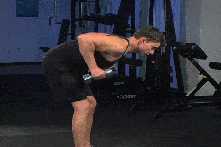 حرکات بدنسازی با دمبل؛ ۲۷ تمرین و انواع حرکات با دمبل_سمسون 72 ورزش با دمبل - کیک بک عضله سه سر بازویی