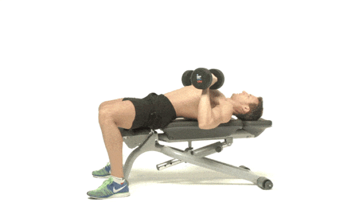 حرکات بدنسازی با دمبل؛ ۲۷ تمرین و انواع حرکات با دمبل_سمسون 63 ورزش با دمبل - پرس نیمکت