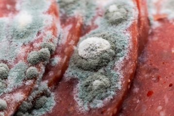 گوشت تازه و منجمد چه تفاوت‌هایی دارند؟ آیا گوشت تازه سالم‌تر است؟