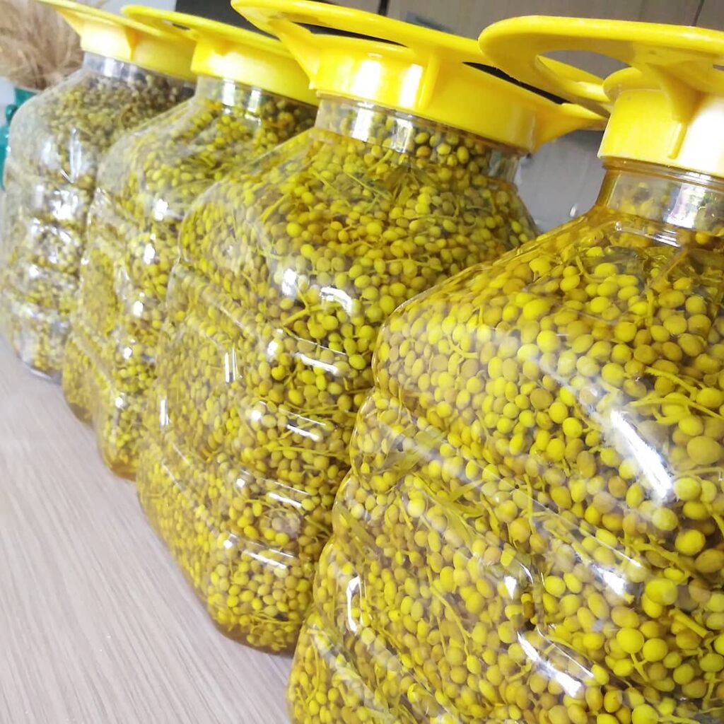 طرز تهیه ترشی بنه