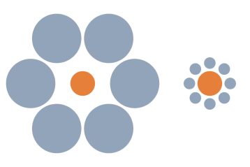 آیا حیوانات نیز مثل ما در دام خطای دید می‌افتند؟ پاسخ پیچیده است