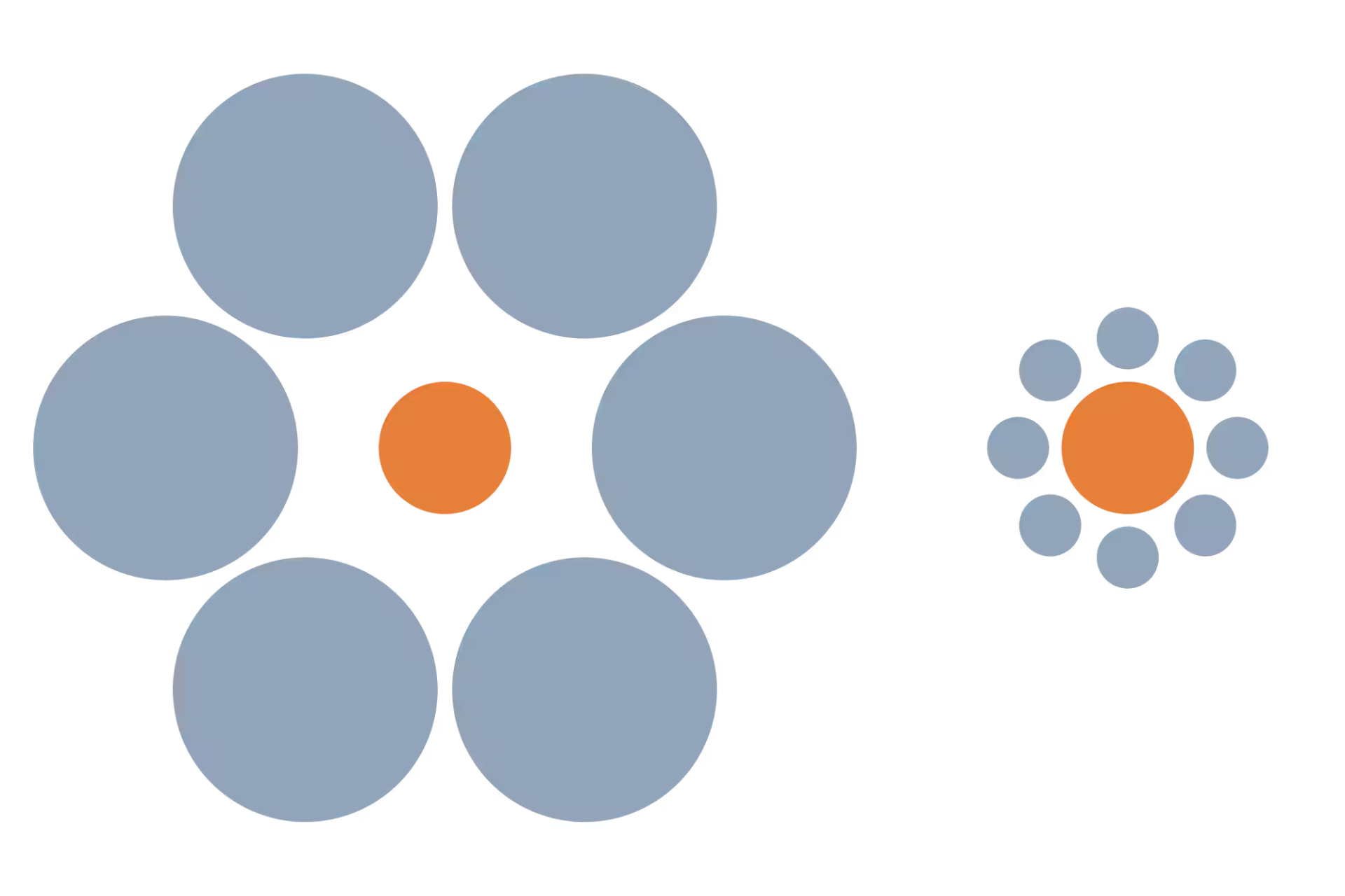 آیا حیوانات نیز مثل ما در دام خطای دید می‌افتند؟ پاسخ پیچیده است